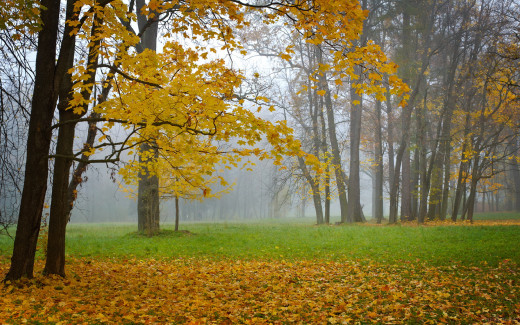 670874 (a): :1920x1200